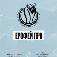 Результаты первого тура Чемпионата России по интерактивному баскетболу